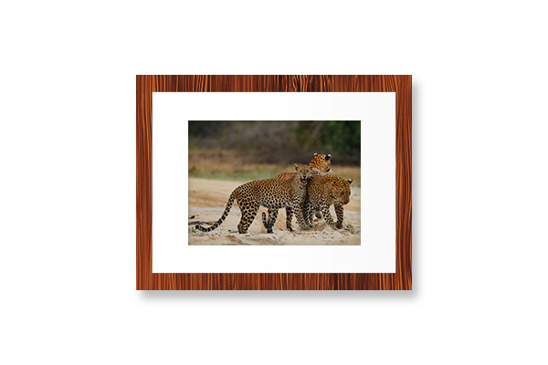 10” Pixel Paper Digital Photo Frame